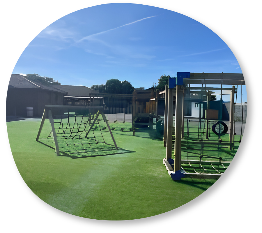 Artificial Grass Example